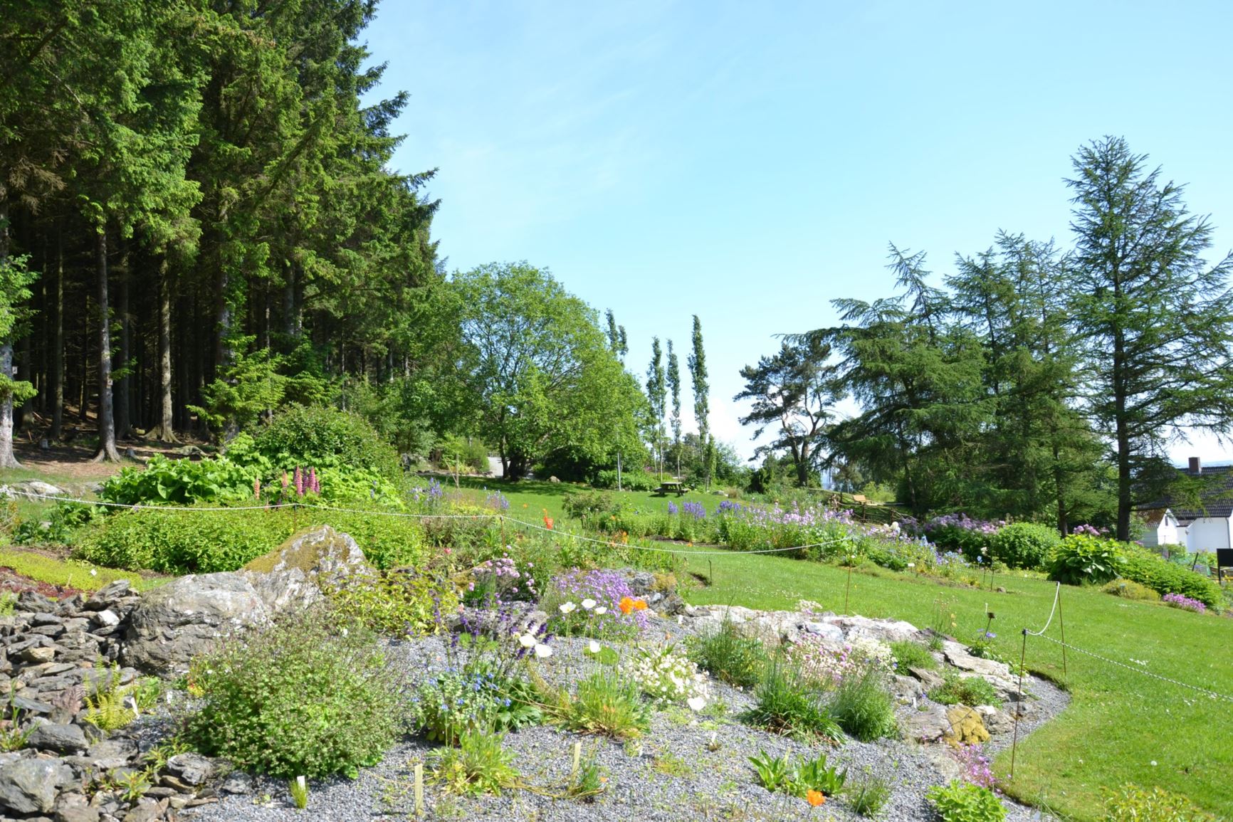 Garden view